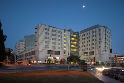 Wilshire Apartment 215 - 3 bedroom image 6